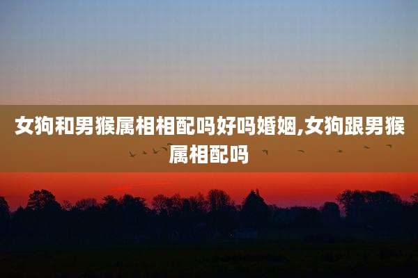 女狗和男猴属相相配吗好吗婚姻,女狗跟男猴属相配吗