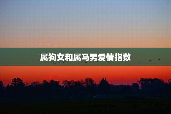 属狗女和属马男爱情指数