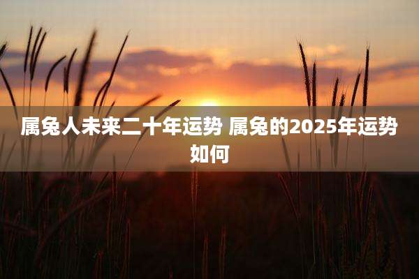 属兔人未来二十年运势 属兔的2025年运势如何