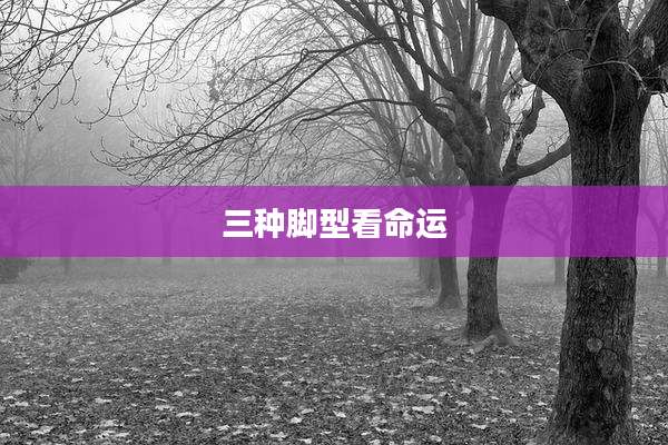 三种脚型看命运