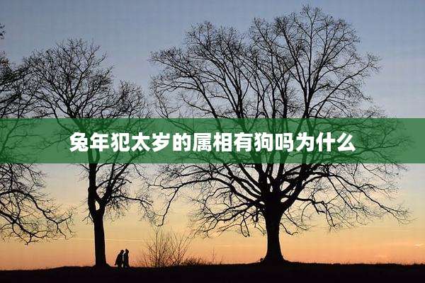 兔年犯太岁的属相有狗吗为什么