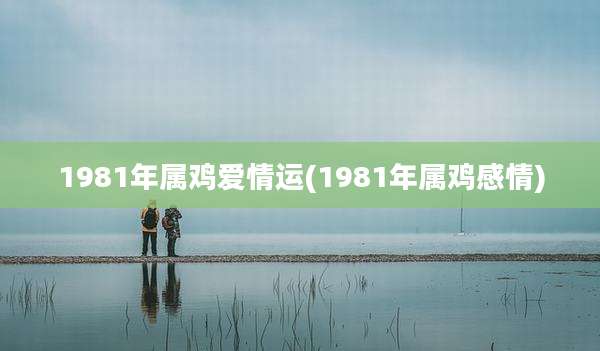 1981年属鸡爱情运(1981年属鸡感情)
