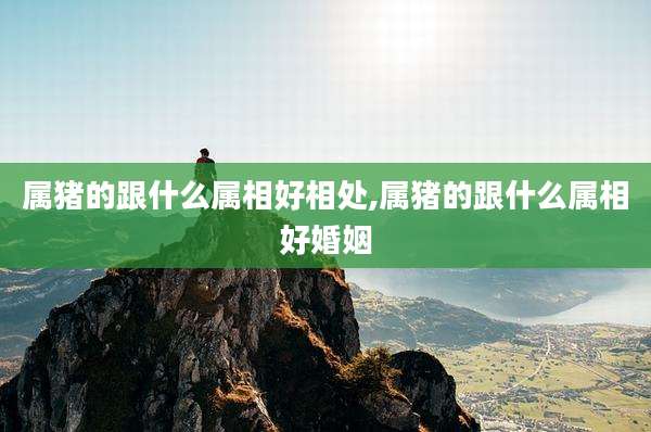 属猪的跟什么属相好相处,属猪的跟什么属相好婚姻