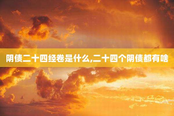 阴债二十四经卷是什么,二十四个阴债都有啥