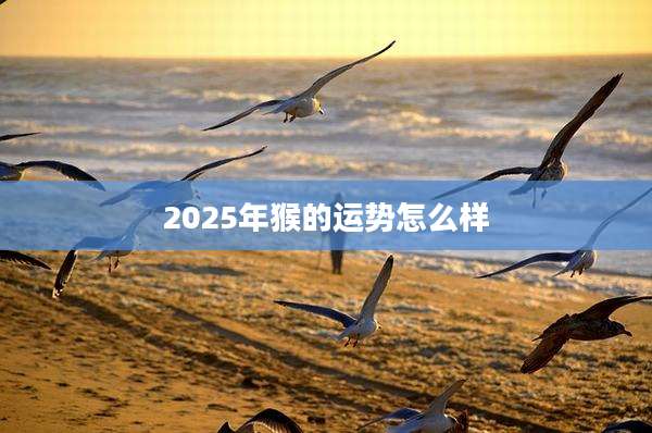 2025年猴的运势怎么样