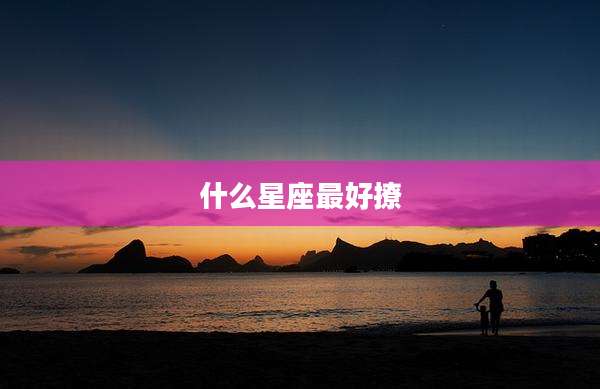 什么星座最好撩