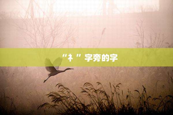“礻”字旁的字