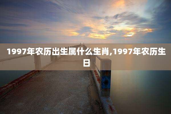 1997年农历出生属什么生肖,1997年农历生日