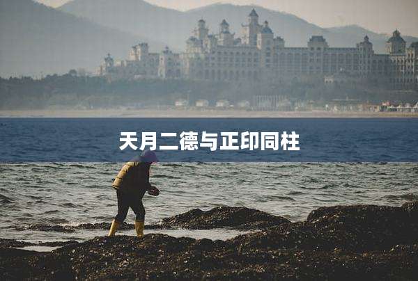 天月二德与正印同柱