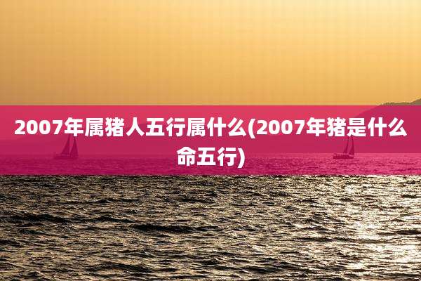 2007年属猪人五行属什么(2007年猪是什么命五行)