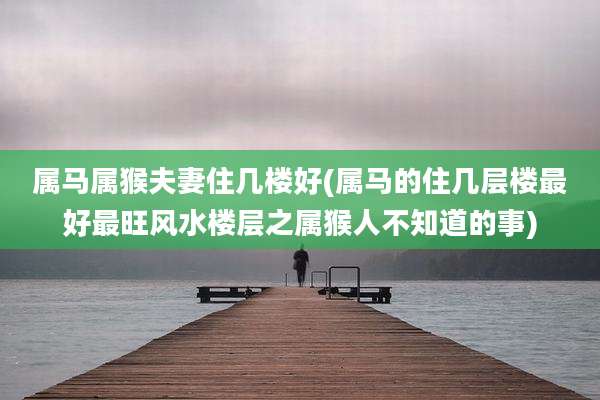 属马属猴夫妻住几楼好(属马的住几层楼最好最旺风水楼层之属猴人不知道的事)