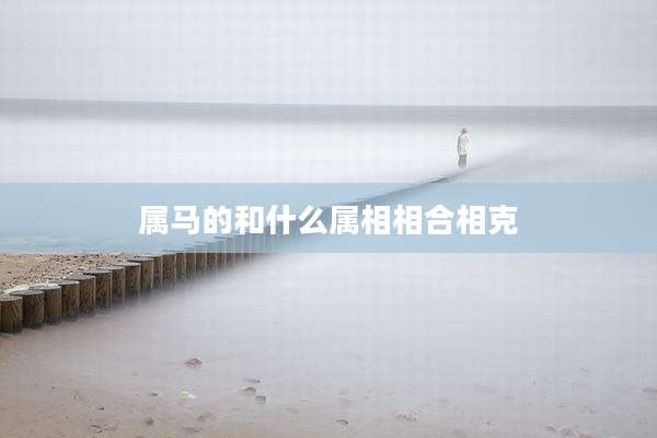 属马的和什么属相相合相克