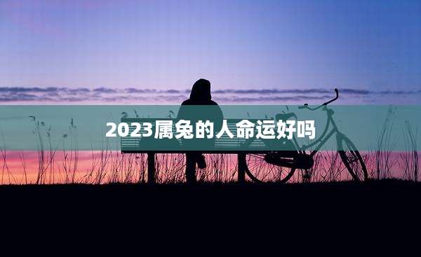 2023属兔的人命运好吗