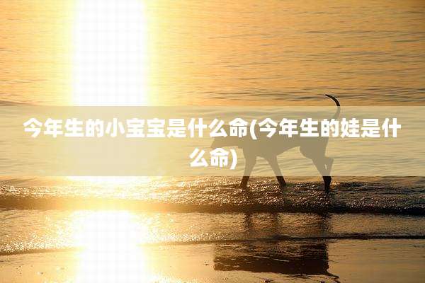 今年生的小宝宝是什么命(今年生的娃是什么命)