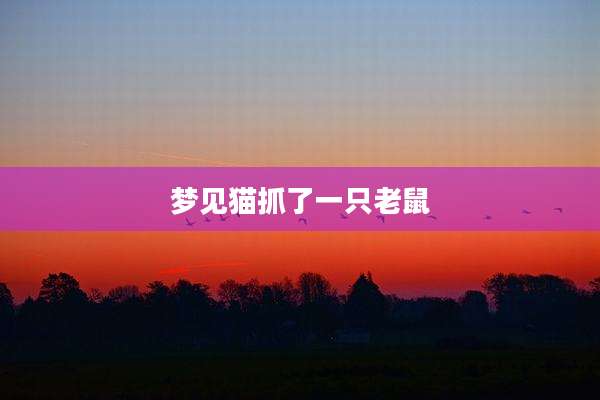 梦见猫抓了一只老鼠