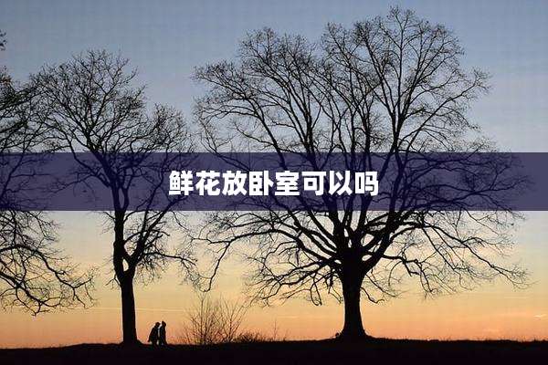 鲜花放卧室可以吗