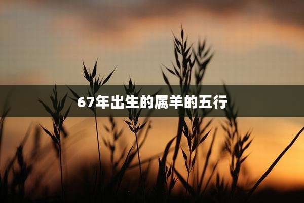 67年出生的属羊的五行