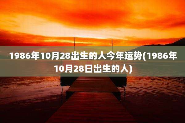 1986年10月28出生的人今年运势(1986年10月28日出生的人)