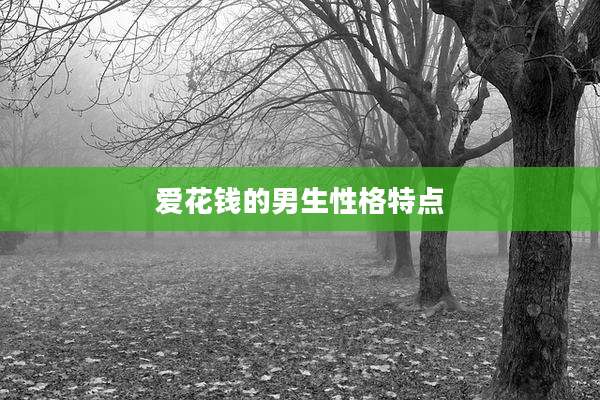 爱花钱的男生性格特点