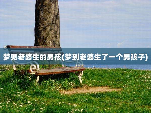 梦见老婆生的男孩(梦到老婆生了一个男孩子)