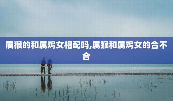 属猴的和属鸡女相配吗,属猴和属鸡女的合不合