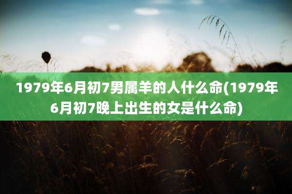 1979年6月初7男属羊的人什么命(1979年6月初7晚上出生的女是什么命)