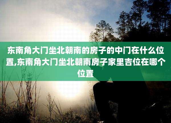 东南角大门坐北朝南的房子的中门在什么位置,东南角大门坐北朝南房子家里吉位在哪个位置