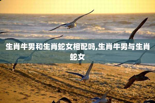 生肖牛男和生肖蛇女相配吗,生肖牛男与生肖蛇女