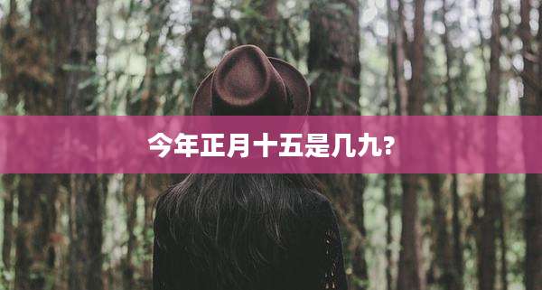 今年正月十五是几九?
