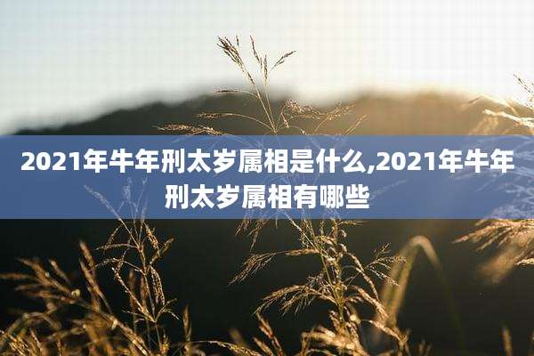 2021年牛年刑太岁属相是什么,2021年牛年刑太岁属相有哪些