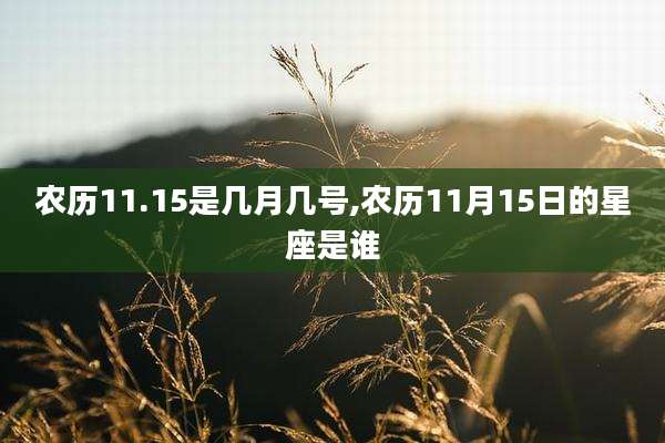 农历11.15是几月几号,农历11月15日的星座是谁
