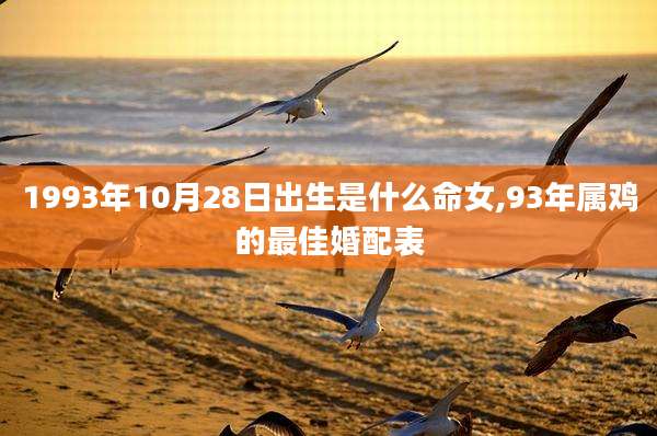 1993年10月28日出生是什么命女,93年属鸡的最佳婚配表