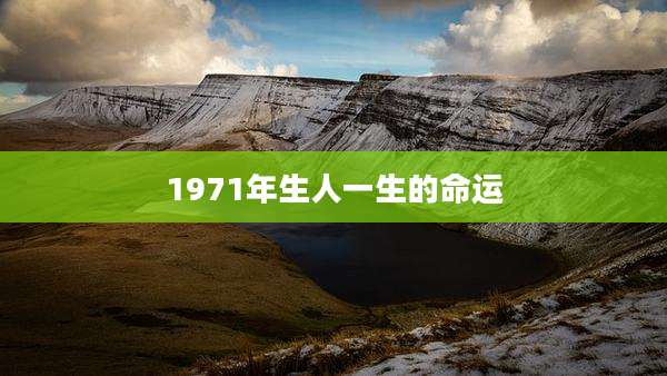 1971年生人一生的命运