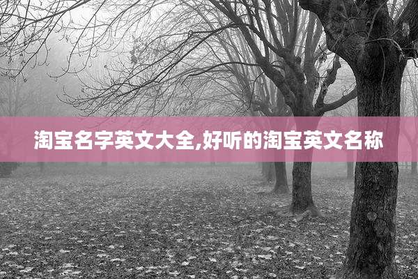 淘宝名字英文大全,好听的淘宝英文名称