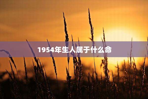 1954年生人属于什么命