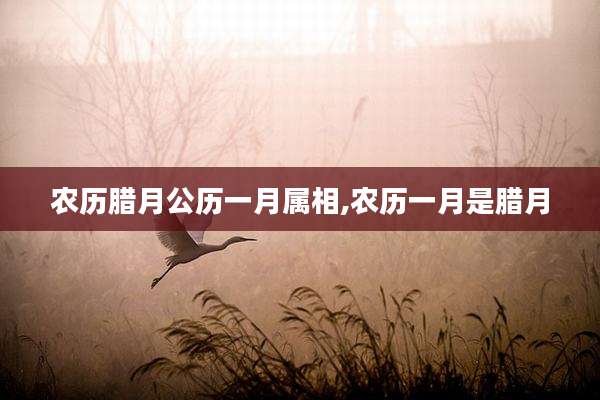农历腊月公历一月属相,农历一月是腊月