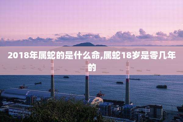 2018年属蛇的是什么命,属蛇18岁是零几年的