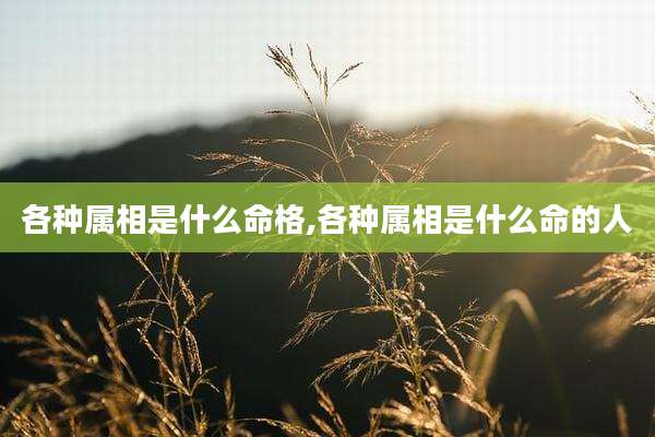 各种属相是什么命格,各种属相是什么命的人