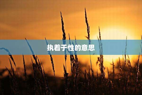 执着于性的意思