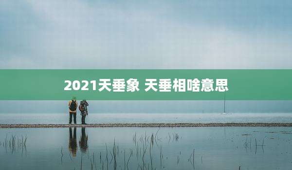 2021天垂象 天垂相啥意思