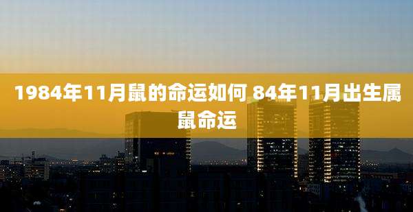 1984年11月鼠的命运如何 84年11月出生属鼠命运