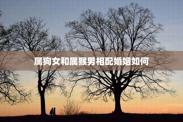属狗女和属猴男相配婚姻如何