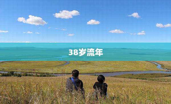 38岁流年