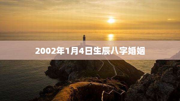 2002年1月4日生辰八字婚姻