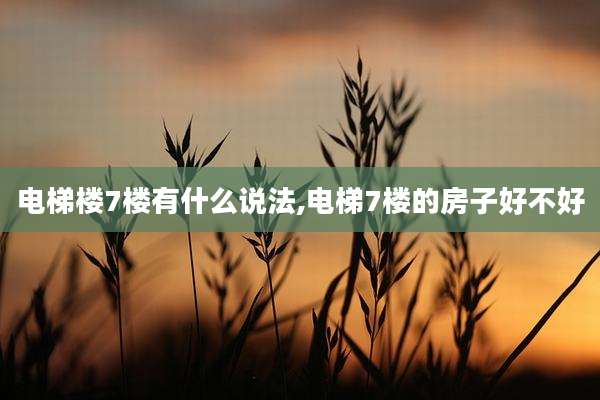 电梯楼7楼有什么说法,电梯7楼的房子好不好