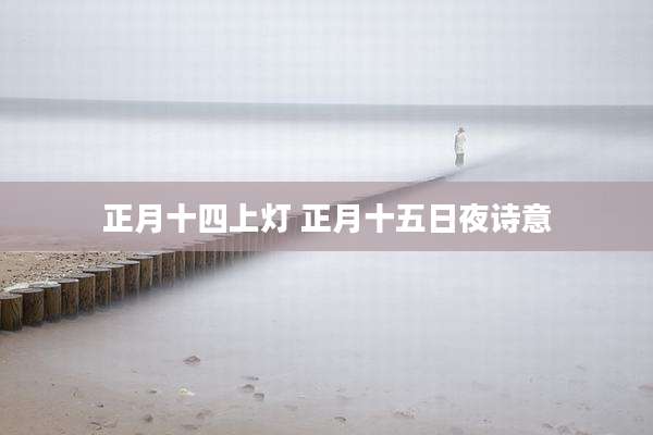 正月十四上灯 正月十五日夜诗意