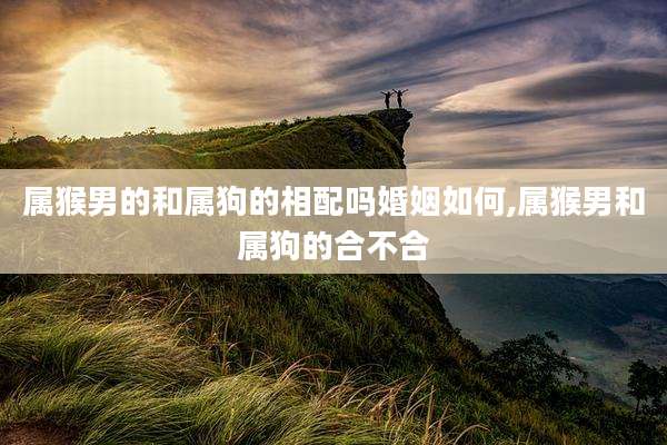 属猴男的和属狗的相配吗婚姻如何,属猴男和属狗的合不合