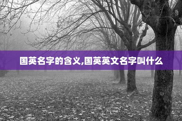 国英名字的含义,国英英文名字叫什么