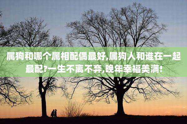 属狗和哪个属相配偶最好,属狗人和谁在一起最配?一生不离不弃,晚年幸福美满!