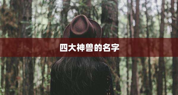 四大神兽的名字
